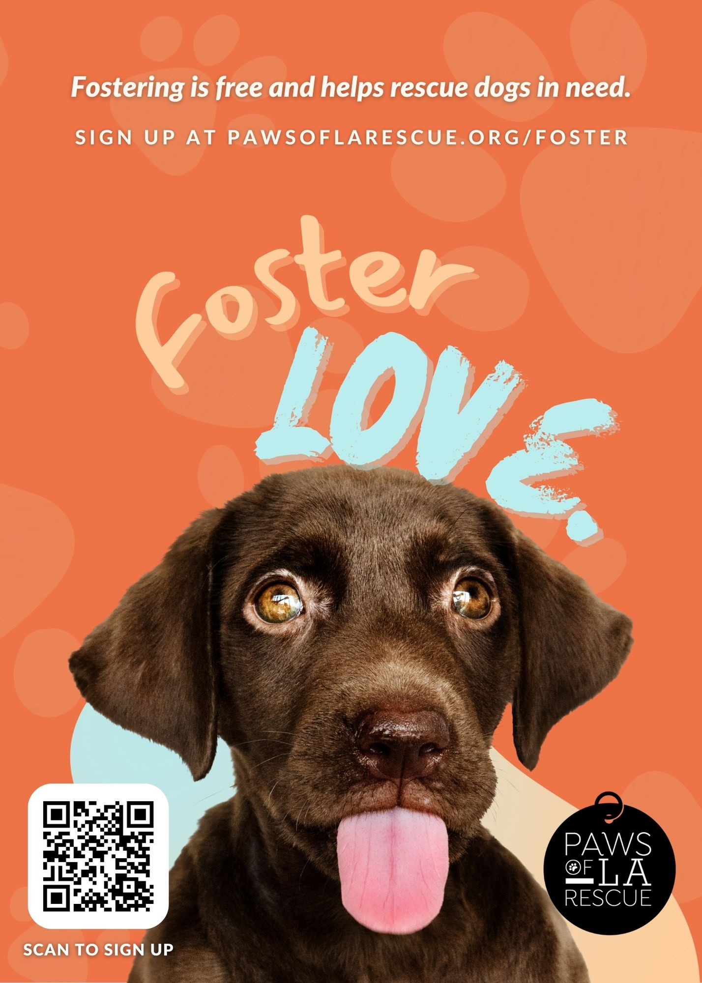 Foster Love for Paws of L.A. Rescue by A.S. Jem on Dribbble