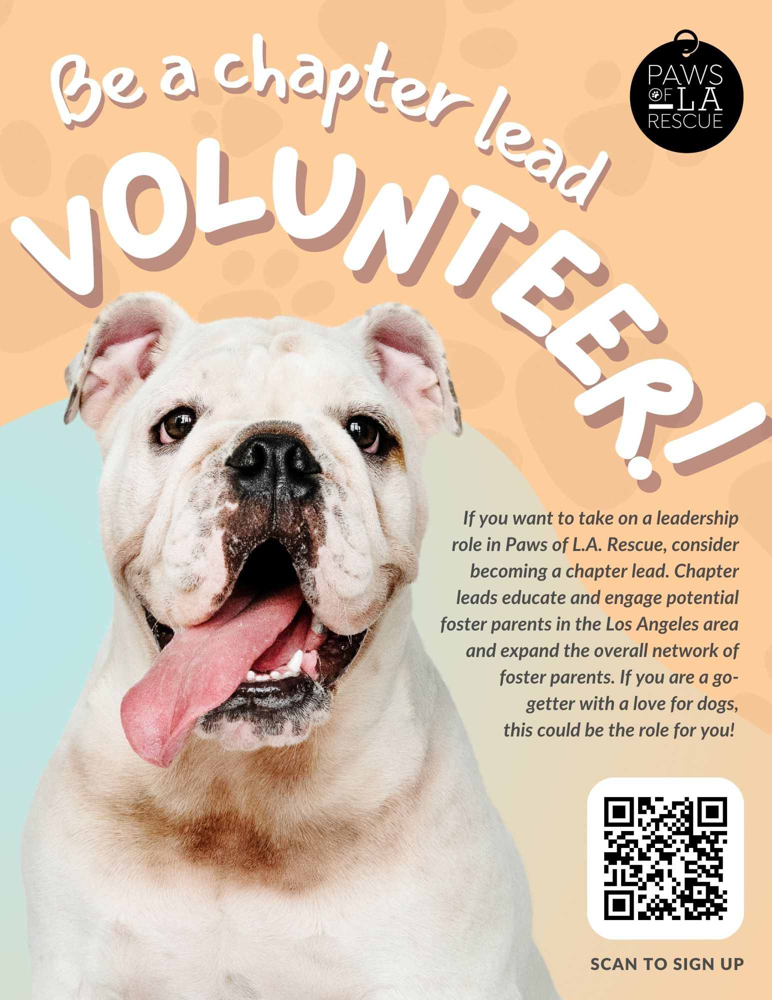 Foster Love for Paws of L.A. Rescue by A.S. Jem on Dribbble
