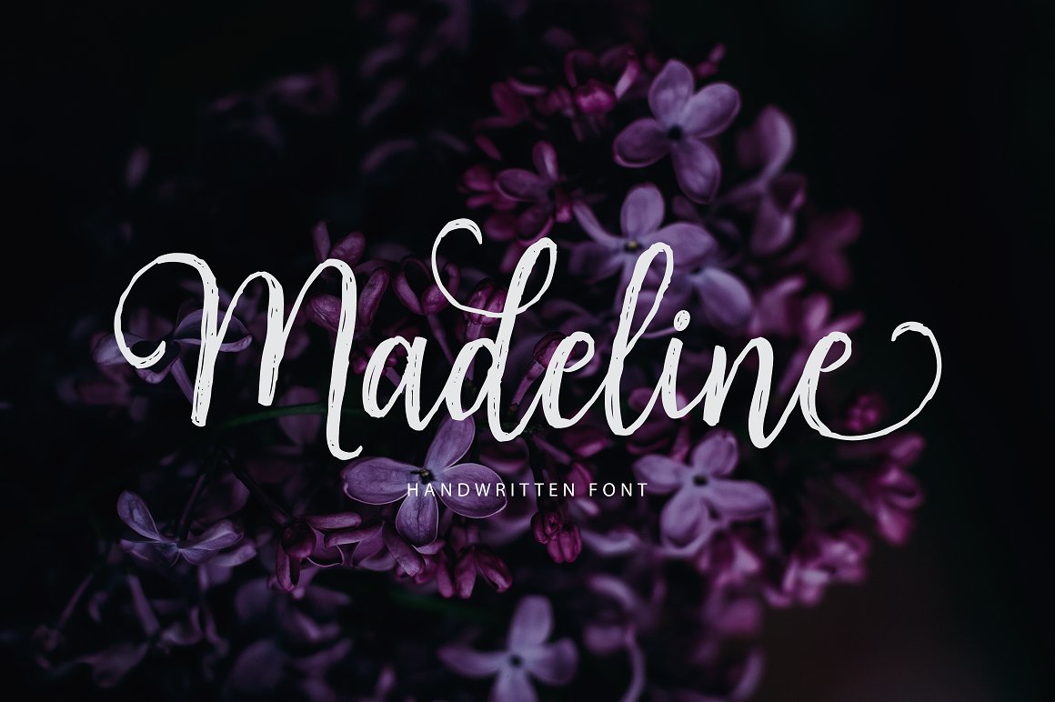 Madeline Script app branding design graphic design illustration logo typography ui ux vector