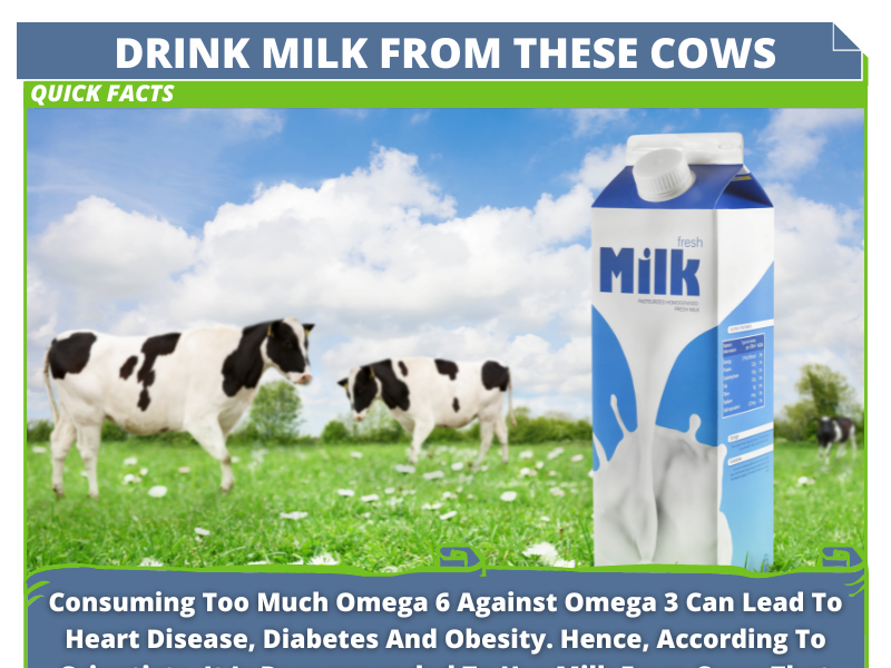 Omega-3: The Secret Ingredient In Cow's Milk? By Discoverybit Facts On 