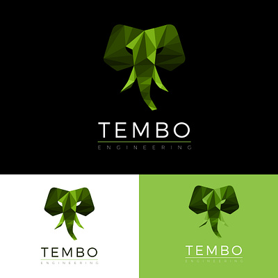 Tembo Engeneering branding branding design design logo design ui design