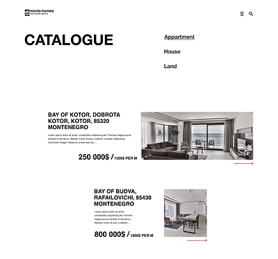 Website Monte.homes in Swiss style design graphic design ui ux