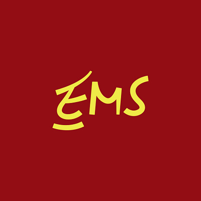 Ems logo branding graphic design logo