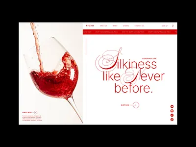 Winesta website alcohol website beverage branding concept design graphic design illustration luxury wines minimal typography ui ui design use experience user interface ux website concept wine wine concept wine website
