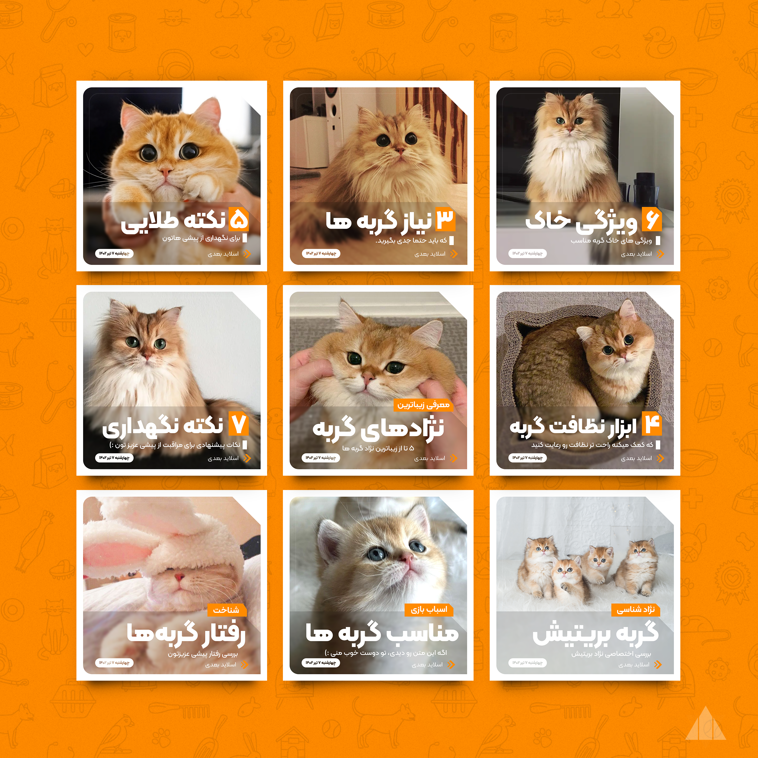 Petshop Cover Post Design banner cat catlover cover cute graphic design pet petshop post