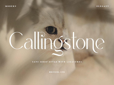 Callingstone | Modern Sans Serif best seller font branding font canva font classy font commercial use cricut font cursive font digital font display font elegant sans serif graphic design headline font magazine font minimalist font modern sans serif product design sans serif font typeface font website font wedding font