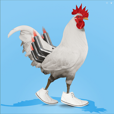 ChiknFarm_NFT _1 animation character animation motion graphic nft