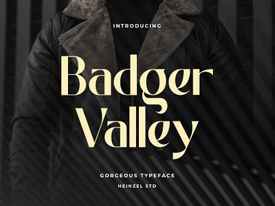 Badger Valley | Typeface Sans Serif Font best seller font branding font cricut font display font elegant sans serif graphic design headline font landing page font magazines font modern sans serif product design sans serif font social media font title font typeface font typography website font