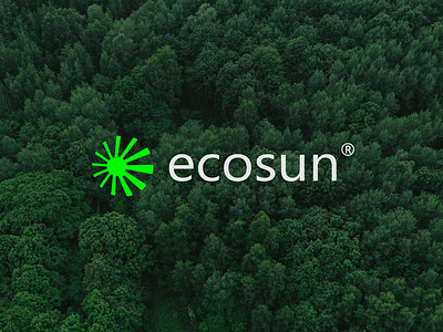 ecosun™ brand brand identity brand logo branding brandkit corporate identity eco full branding identity logo logo design logo designer minimal logo modern logo park visual identity