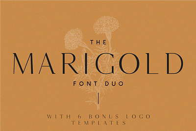 Marigold - Font duo and logo set app branding design graphic design illustration logo typography ui ux vector
