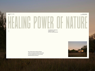 Serenity Cabins art direction design figma layout minimalism nature presentation tourism typography ui ux web