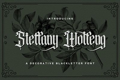 Steffany Wolfeng - Blackletter Font app branding design graphic design illustration logo typography ui ux vector