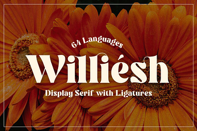 Williesh - Unique Display Serif app branding design graphic design illustration logo typography ui ux vector