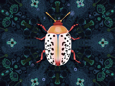 Beetle design digitalpainting illustration photoshop