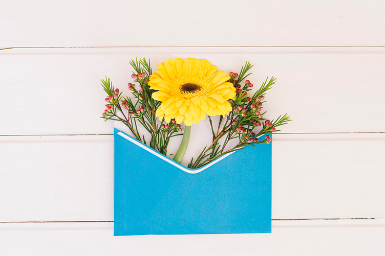 Dried Letterbox Flowers by Maddelyn Willingson on Dribbble