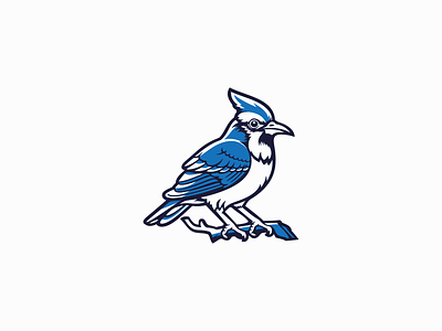 Blue Jay Logo animal bird blue jay branding cute design emblem graphic design icon illustration logo mark nature sports vector wildlife wings