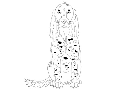 Spaniel dog illustration russian hunting spaniel spaniel vector