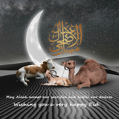 Eid ul adha camel cow eid eid al adha graphic design greeting hajj holiday illustration poster pray qurban qurbani vector