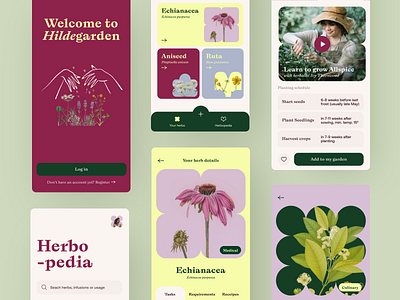 ✨🌙 HildeGarden — Unleash the Magic of Herbs with Herbcare App app botanic botanical illustration branding color palette colors concept figma flower graphic design herbs icon design illustration mobile mobile app plantcare plants product design ui design witchcraft