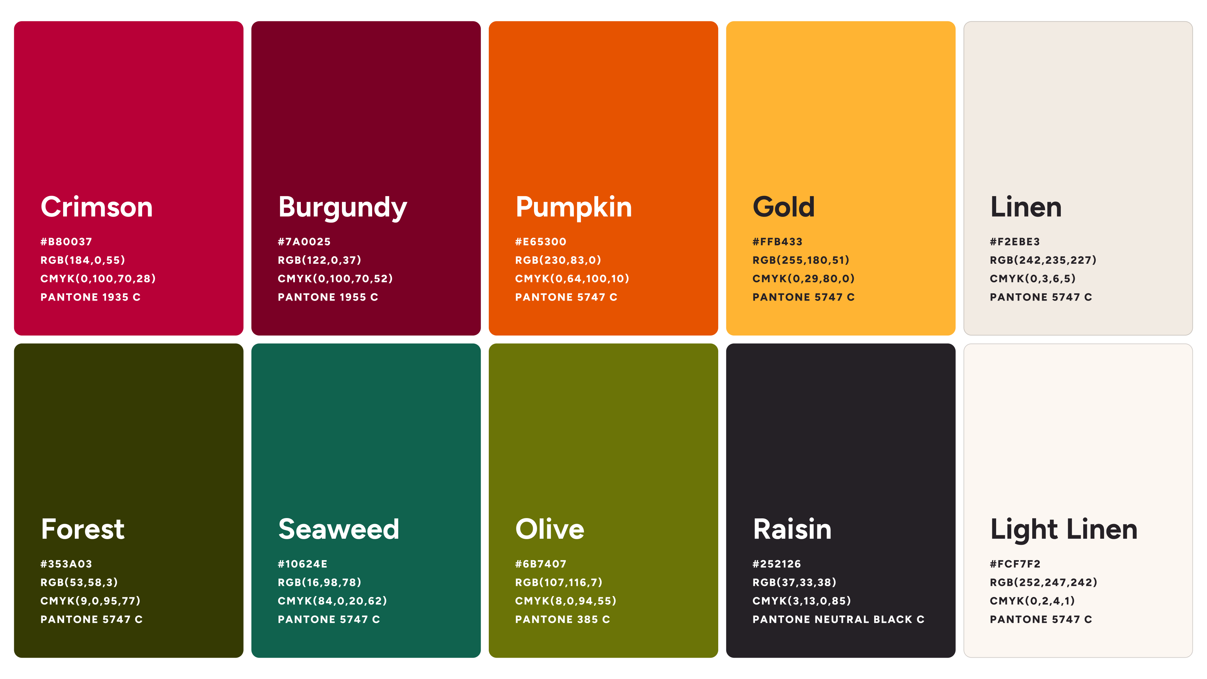 Example of Brand Identity Starter ✹