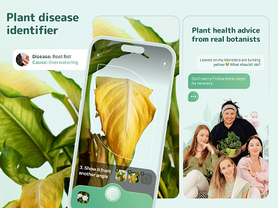 Blossom - Plant disease identifier app branding design diagnostic disease graphic design health illustration plant plant app plant care typography ui vector