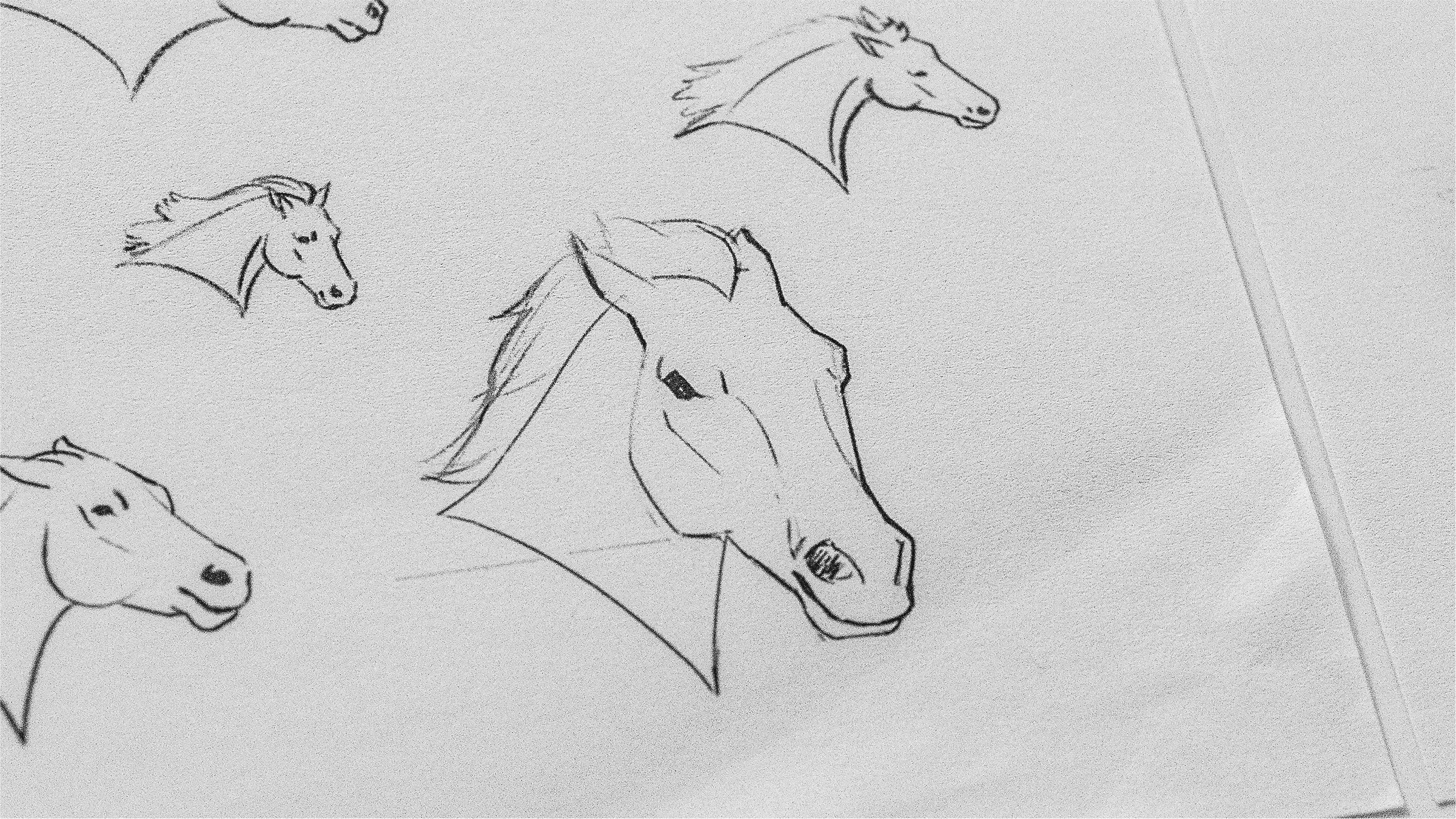 Hermeus Darkhorse Visual Identity by Jeremy Nelson on Dribbble