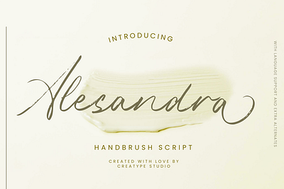 Alesandra Handbrush Script fashion