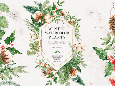 Winter watercolor collection