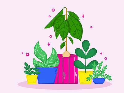 Illustrations for plants accessories website brand identity brand illustrations brand website branding bright illustrations design icon design illustration illustrations for brand illustrations for website plant growing plant illustration plant propagation plants refund shipping icon web illustration website website design website icons