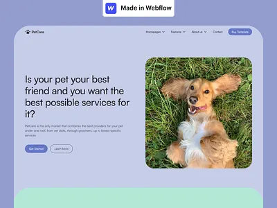 PetCare Webflow Template animals animation blue cards care colorful design figma green hero landing page motion orange pet team template testimonials ui webflow website
