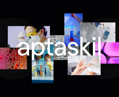 Aptaskil / Imagery brand univers branding graphic design logo photography visual identity