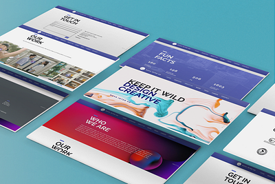 Website design for Nova creative agency design graphic design ui website design