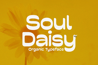 Soul Daisy - Organic Font 1970s 1980s beach branding camp design display font funky graphic design groovy hippie illustration logo ocean quirky retro surf trippy typeface