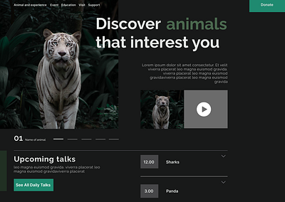 Zoo Design branding design lions ui uiesign uitrends uiux ux webdesign zoo
