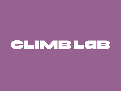 Climb lab logotype brand identity branding climbing font lettering logo logotype typeface typography