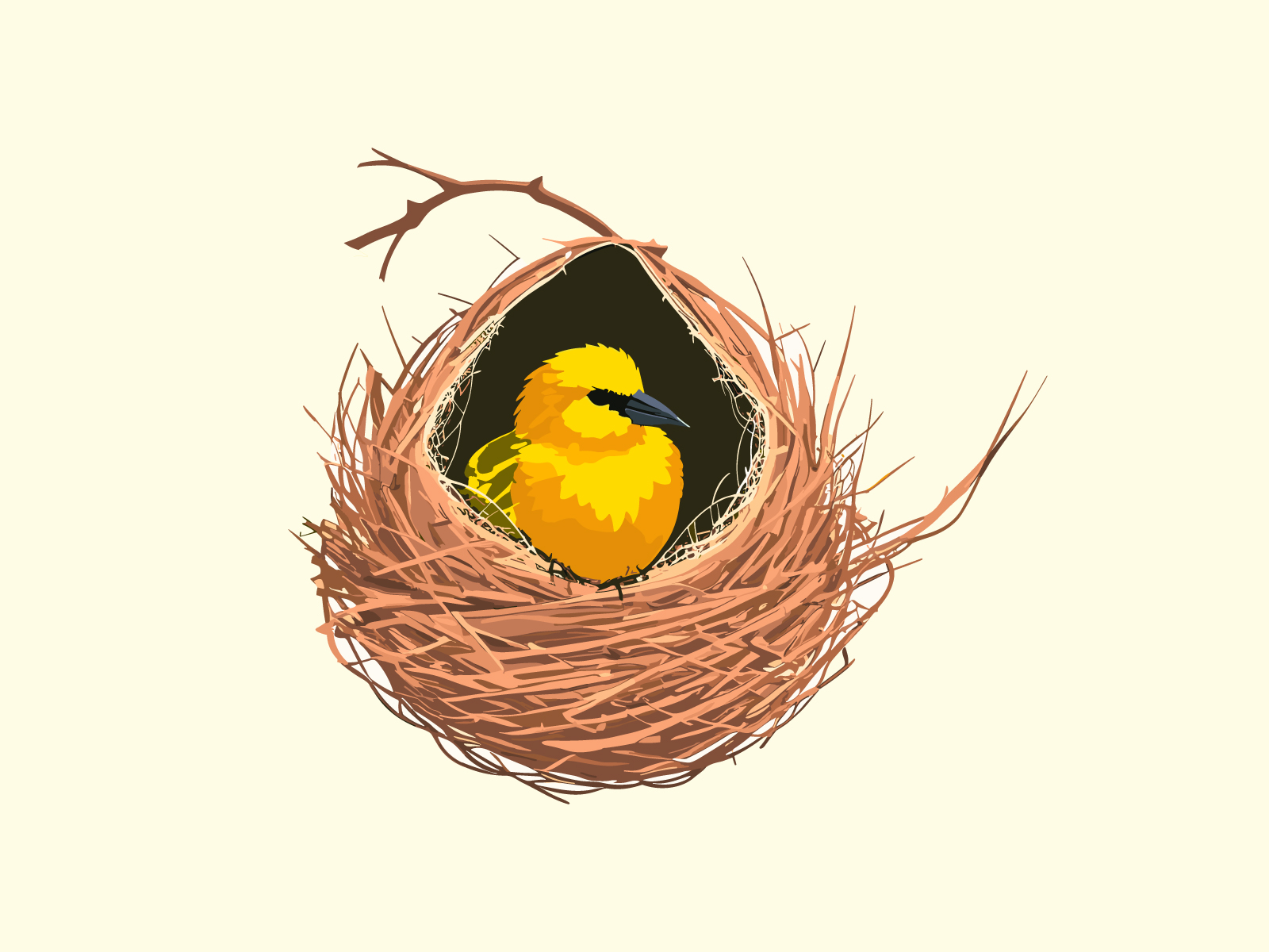 how to draw nest and bird/ baya weaver - YouTube