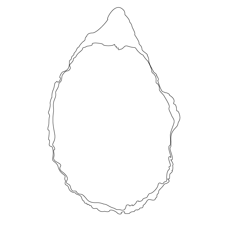 Example of I AM AN OYSTER - Brand Assets