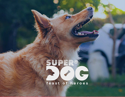 Super Dog branding dogfood graphic design logo package