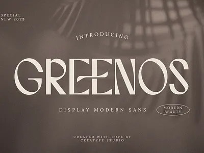 Greenos Display Modern Sans blogger