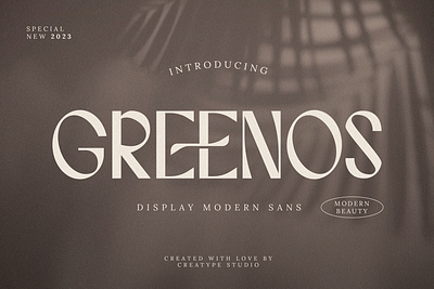 Greenos Display Modern Sans blogger