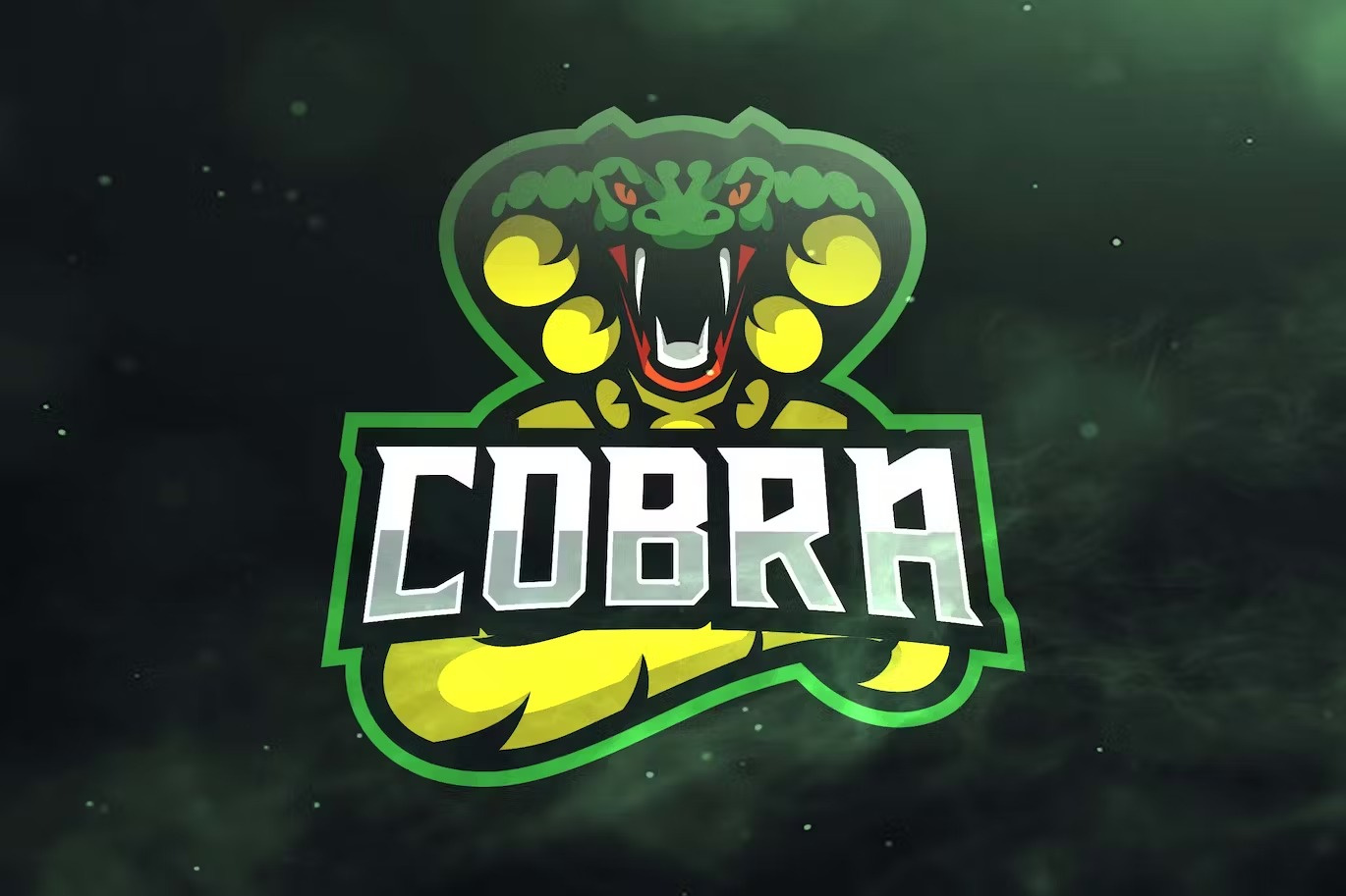 Cobra Sport and Esports Logos by OVOZ on Dribbble