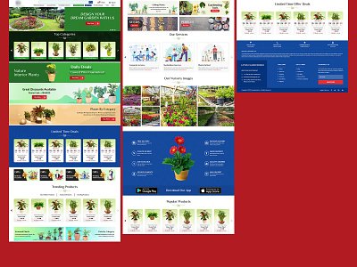 lotus design graphic design ui ux web website