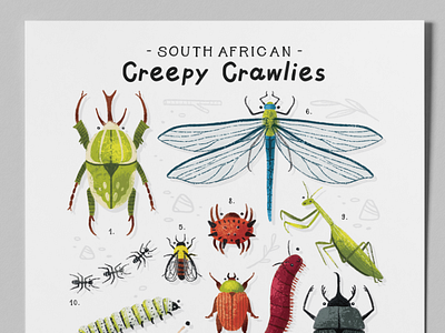 South African Creepy Crawlies | Children's Print art bugs childrens prints creepy crawlies cute digital print educational posters illustration illustrator kidslitart photoshop print procreate south africa