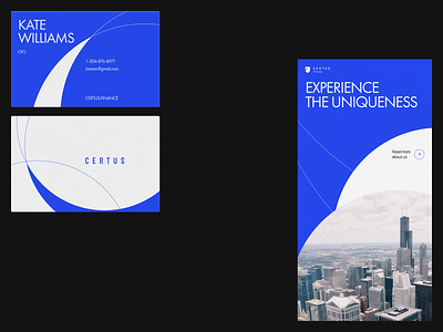 CERTUS FINANCE — Behance Case bank banking brand identity branding design finance graphic design logo promo ui web