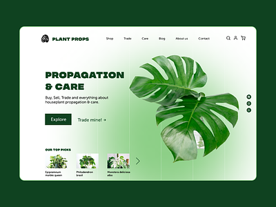 Daily UI #003 - Landing Page dailyui houseplants landing page plant shop ui web design