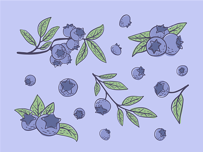 Blueberry berry bilberry blueberry branch cartoon design floral food forest fruit hand drawn illustration nature nutrition organic plant ripe sketch sweet vegan