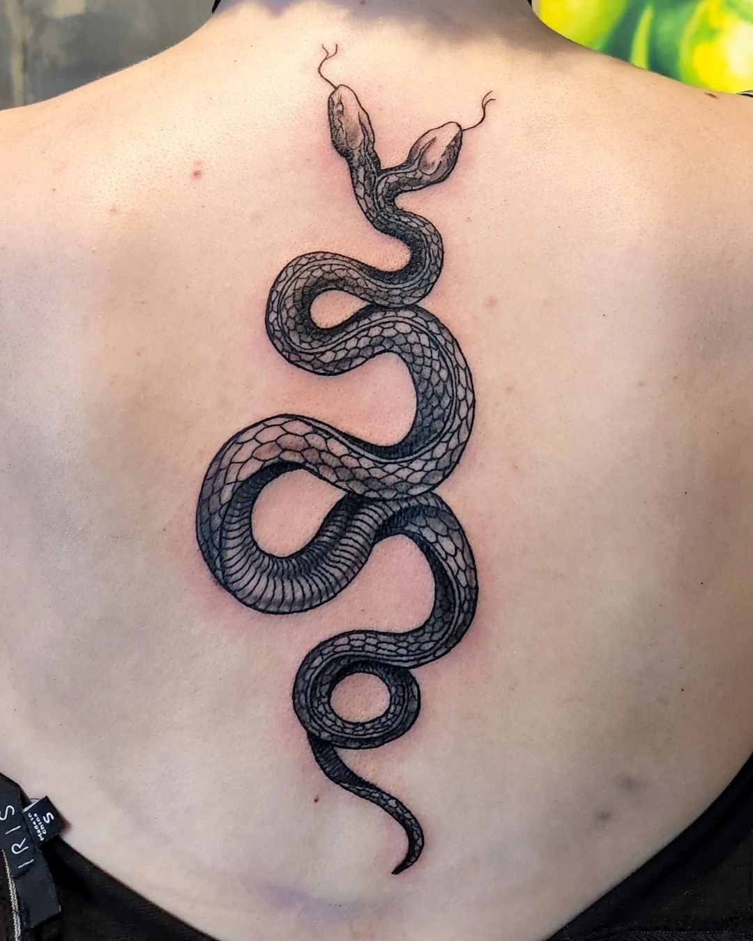 Two-Headed Snake With Meaning snake snake tattoo designs snake tattoos two headed snake