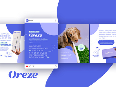 Pet Toothbrush Social Media Design dogs graphic design health social media design