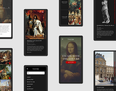 Louvre Museum App Design app design branding design graphic design ui uiux ux