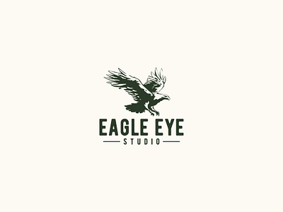 Eagle Eye studio branding design eagle graphic design illustration logo monogram vector vintage cartoon